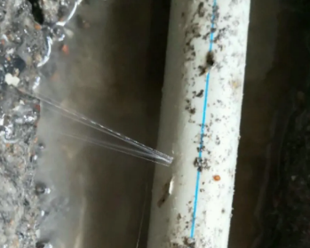 日照卫生间测漏水多少钱