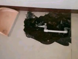 日照卫生间测漏水多少钱
